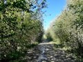 Продажа земельного участка: п. Монетный, ул. Февральская, 12 (городской округ Березовский) - Фото 5