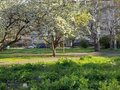 Аренда квартиры: Екатеринбург, ул. Викулова, 36 (ВИЗ) - Фото 4