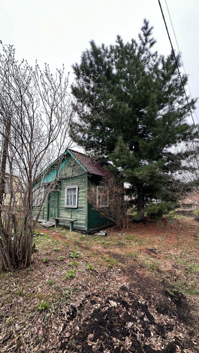 п. Большой Исток, СНТ Дружба (городской округ Сысертский) - фото сада (1)