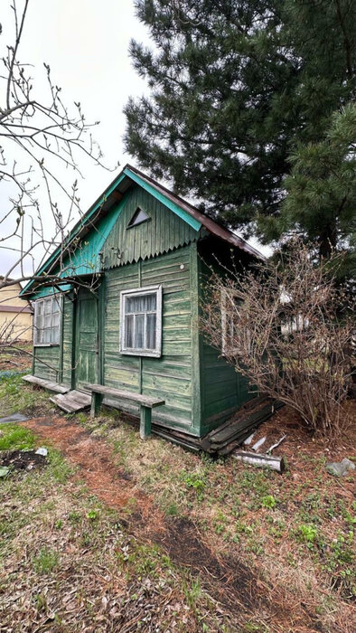 п. Большой Исток, СНТ Дружба (городской округ Сысертский) - фото сада (2)