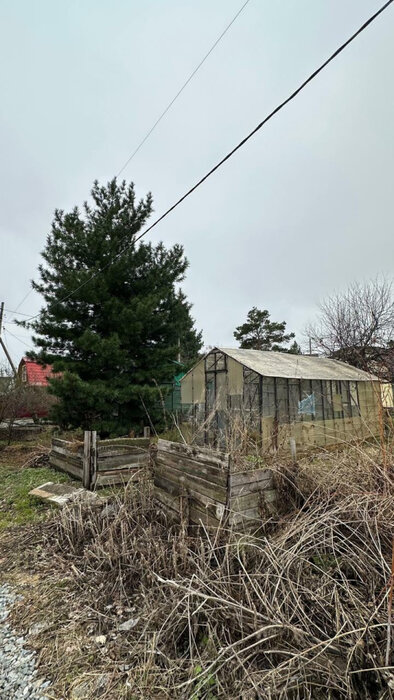 п. Большой Исток, СНТ Дружба (городской округ Сысертский) - фото сада (8)