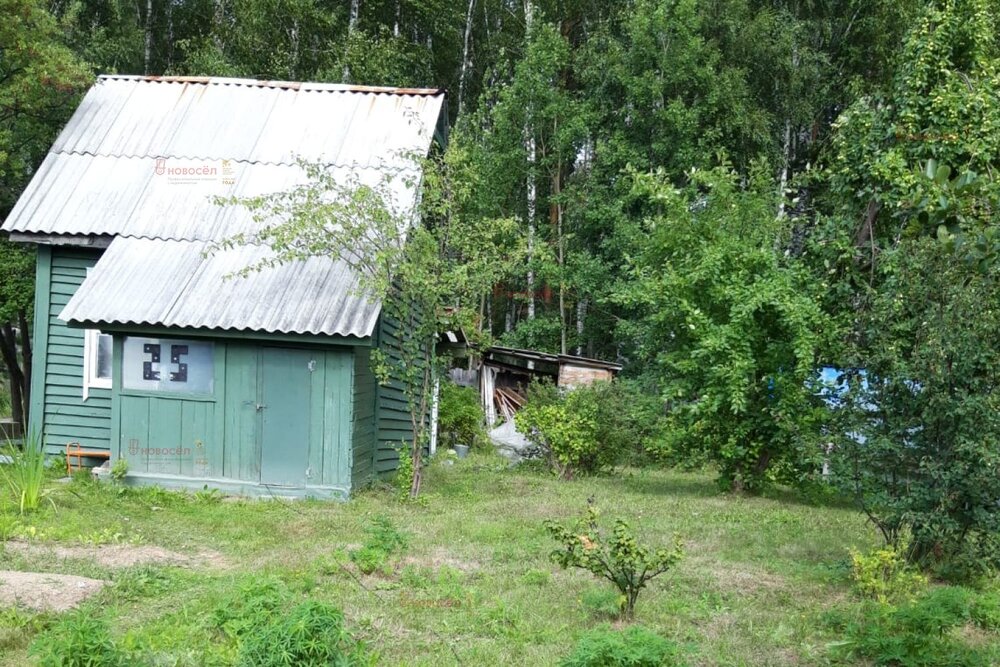 п. Монетный, № 79 Берёзка, ул. кс, 25 (городской округ Березовский) - фото сада (3)
