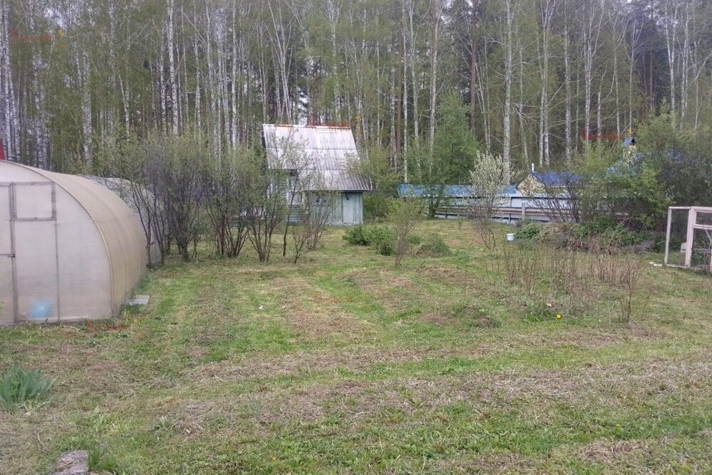 п. Монетный, № 79 Берёзка, ул. кс, 25 (городской округ Березовский) - фото сада (4)