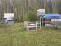 Продажа садового участка: п. Монетный, № 79 Берёзка, ул. кс, 25 (городской округ Березовский) - Фото 5