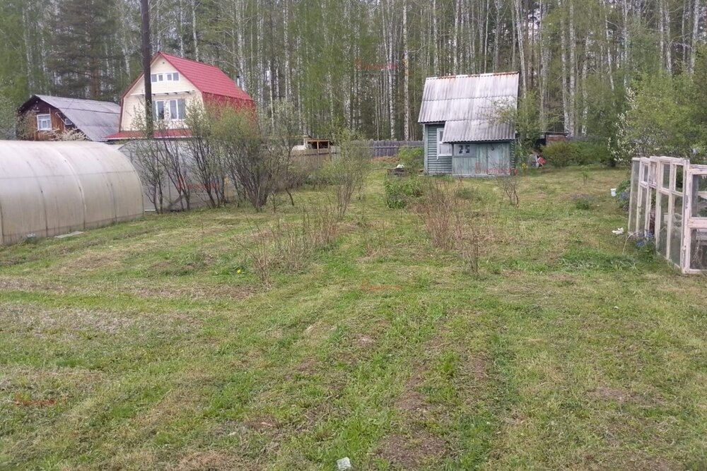 п. Монетный, № 79 Берёзка, ул. кс, 25 (городской округ Березовский) - фото сада (6)