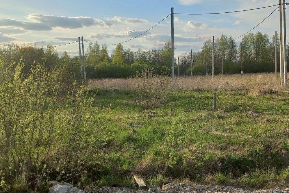 к.п. Дарвин, ул. Химиков, 40 (городской округ Белоярский, п. Рассоха) - фото земельного участка (1)