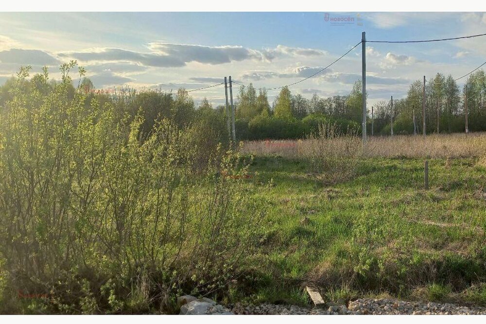 к.п. Дарвин, ул. Химиков, 40 (городской округ Белоярский, п. Рассоха) - фото земельного участка (3)