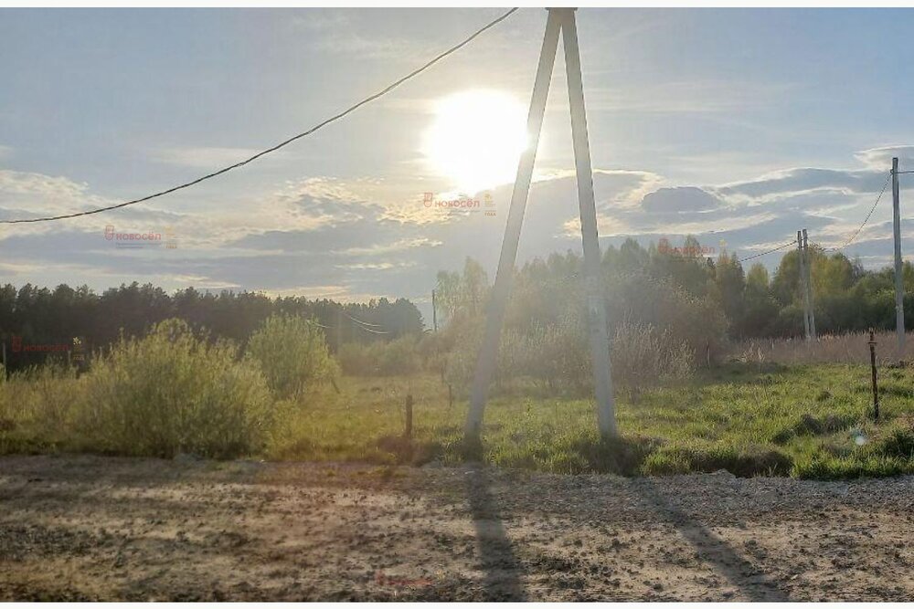к.п. Дарвин, ул. Химиков, 40 (городской округ Белоярский, п. Рассоха) - фото земельного участка (6)