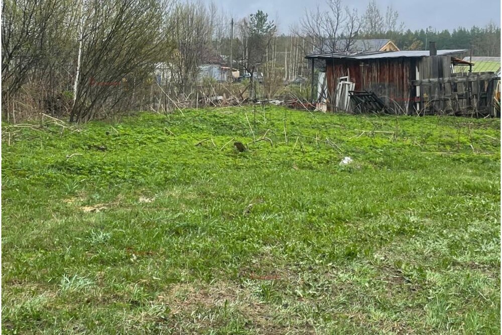 п. Красная Горка, СНТ Медик, уч. 34 (городской округ Полевской) - фото сада (5)
