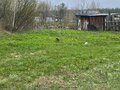 Продажа садового участка: п. Красная Горка, СНТ Медик, уч. 34 (городской округ Полевской) - Фото 5