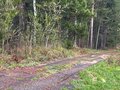 Продажа садового участка: п. Красная Горка, СНТ Медик, уч. 34 (городской округ Полевской) - Фото 6