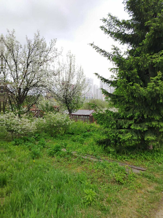 Екатеринбург, снт. Строитель-1  (Широкая речка) - фото сада (1)