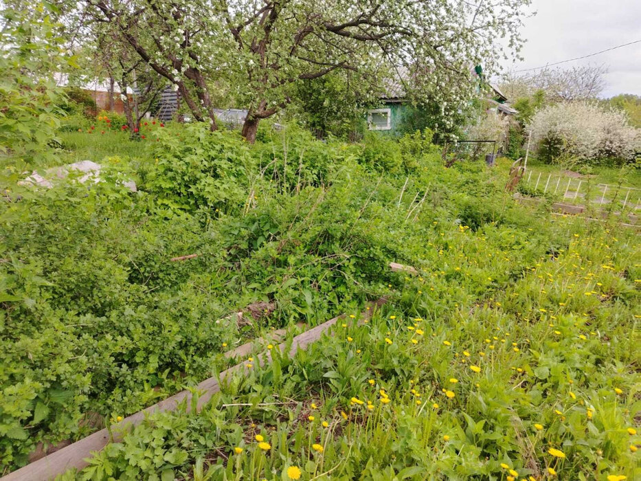Екатеринбург, снт. Строитель-1 , ул. снт. Строитель-1 (кад.кв-л, 0313001) (Широкая речка) - фото сада (10)