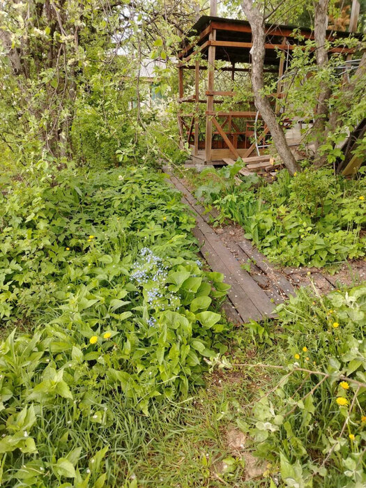 Екатеринбург, снт. Строитель-1 , ул. снт. Строитель-1 (кад.кв-л, 0313001) (Широкая речка) - фото сада (11)