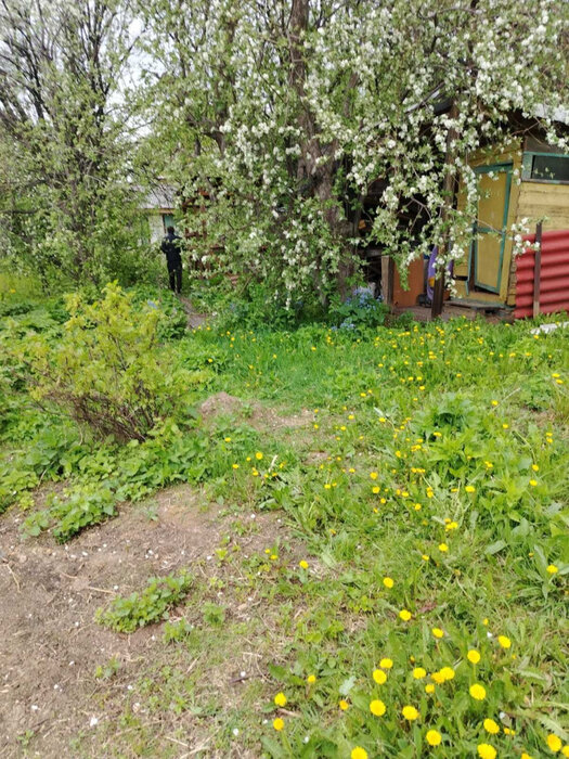 Екатеринбург, снт. Строитель-1 , ул. снт. Строитель-1 (кад.кв-л, 0313001) (Широкая речка) - фото сада (12)