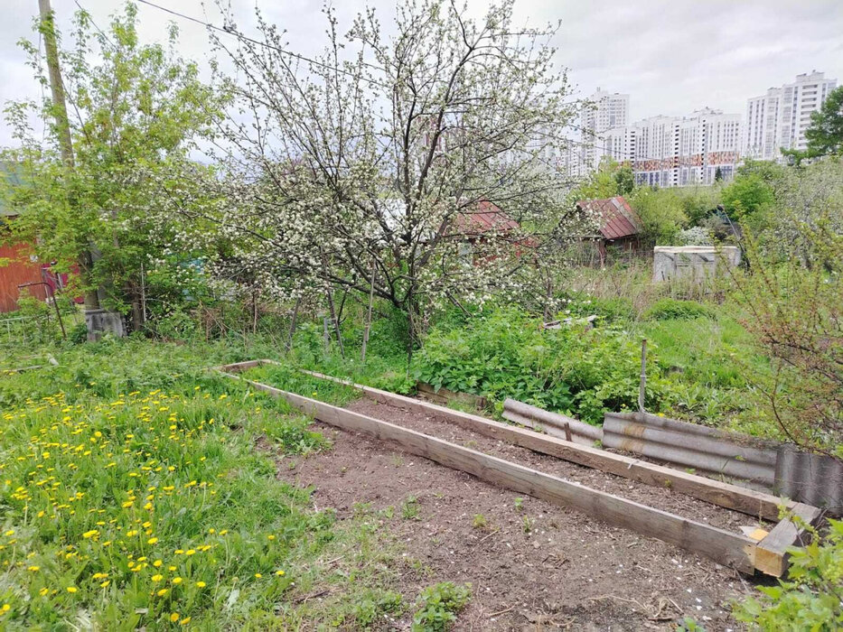 Екатеринбург, снт. Строитель-1 , ул. снт. Строитель-1 (кад.кв-л, 0313001) (Широкая речка) - фото сада (14)