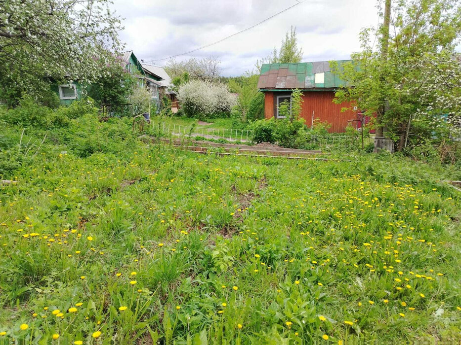 Екатеринбург, снт. Строитель-1 , ул. снт. Строитель-1 (кад.кв-л, 0313001) (Широкая речка) - фото сада (15)