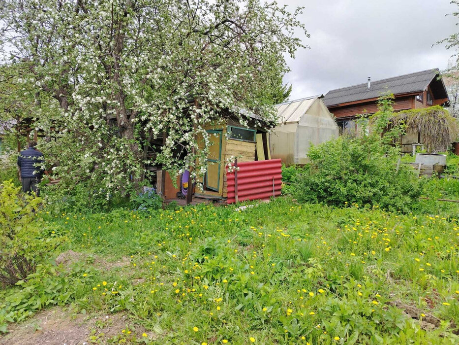 Екатеринбург, снт. Строитель-1 , ул. снт. Строитель-1 (кад.кв-л, 0313001) (Широкая речка) - фото сада (16)