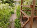 Продажа садового участка: Екатеринбург, снт. Строитель-1  (Широкая речка) - Фото 3