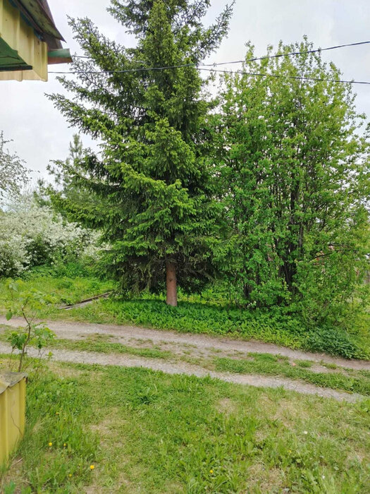 Екатеринбург, снт. Строитель-1  (Широкая речка) - фото сада (7)