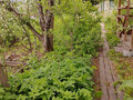 Продажа садового участка: Екатеринбург, снт. Строитель-1  (Широкая речка) - Фото 8