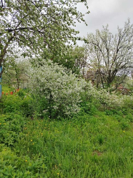 Екатеринбург, снт. Строитель-1 , ул. снт. Строитель-1 (кад.кв-л, 0313001) (Широкая речка) - фото сада (9)