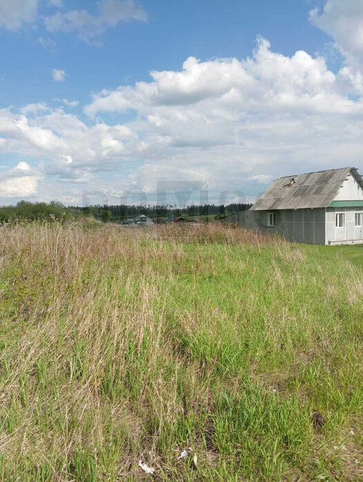 с. Липовское (городской округ Режевской) - фото земельного участка (1)