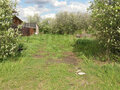 Продажа земельного участка: с. Липовское (городской округ Режевской) - Фото 4