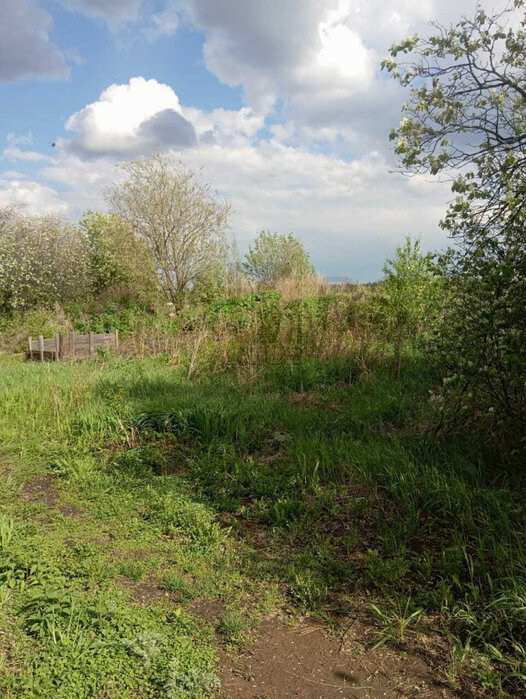 с. Липовское (городской округ Режевской) - фото земельного участка (5)