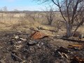 Продажа земельного участка: с. Троицкое, ул. Набережная, 38 (городской округ Богданович) - Фото 8
