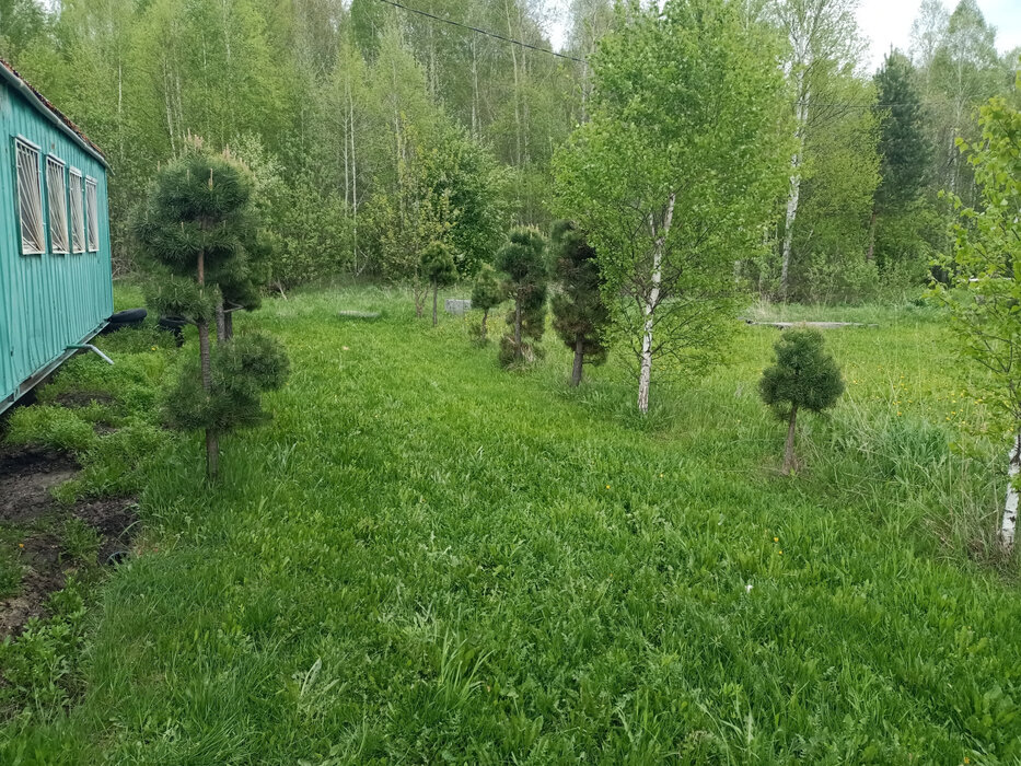 п. Красногвардейский (г.о. Артемовский), СПО №129 Красногвардейский  (городской округ Артемовский) - фото сада (1)