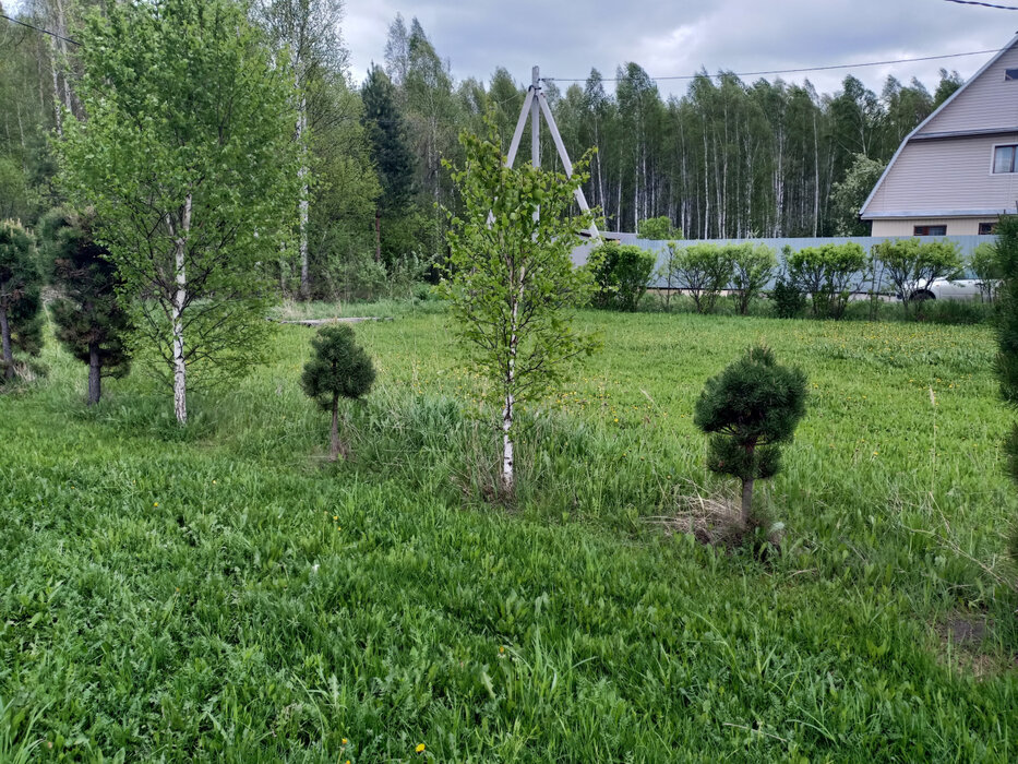 п. Красногвардейский (г.о. Артемовский), СПО №129 Красногвардейский  (городской округ Артемовский) - фото сада (2)
