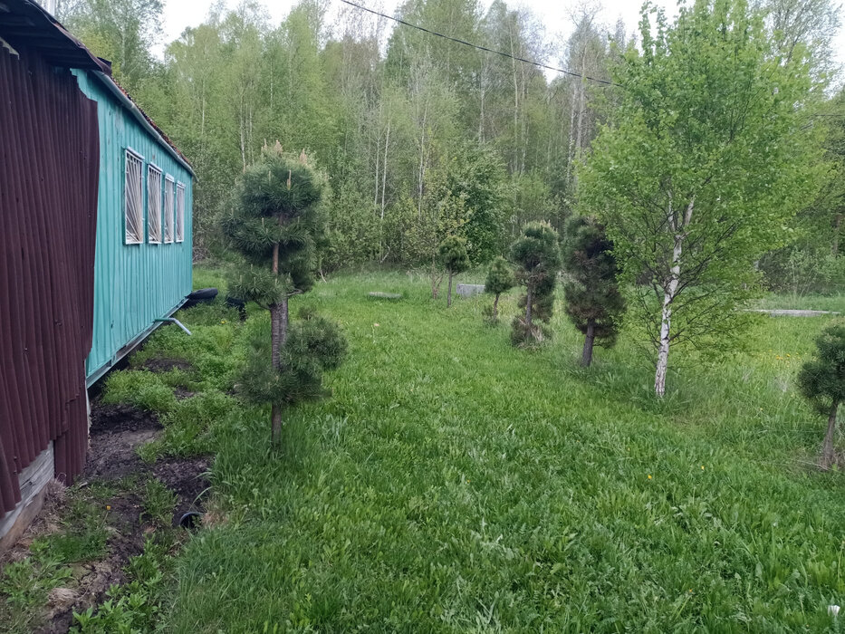 п. Красногвардейский (г.о. Артемовский), СПО №129 Красногвардейский  (городской округ Артемовский) - фото сада (6)