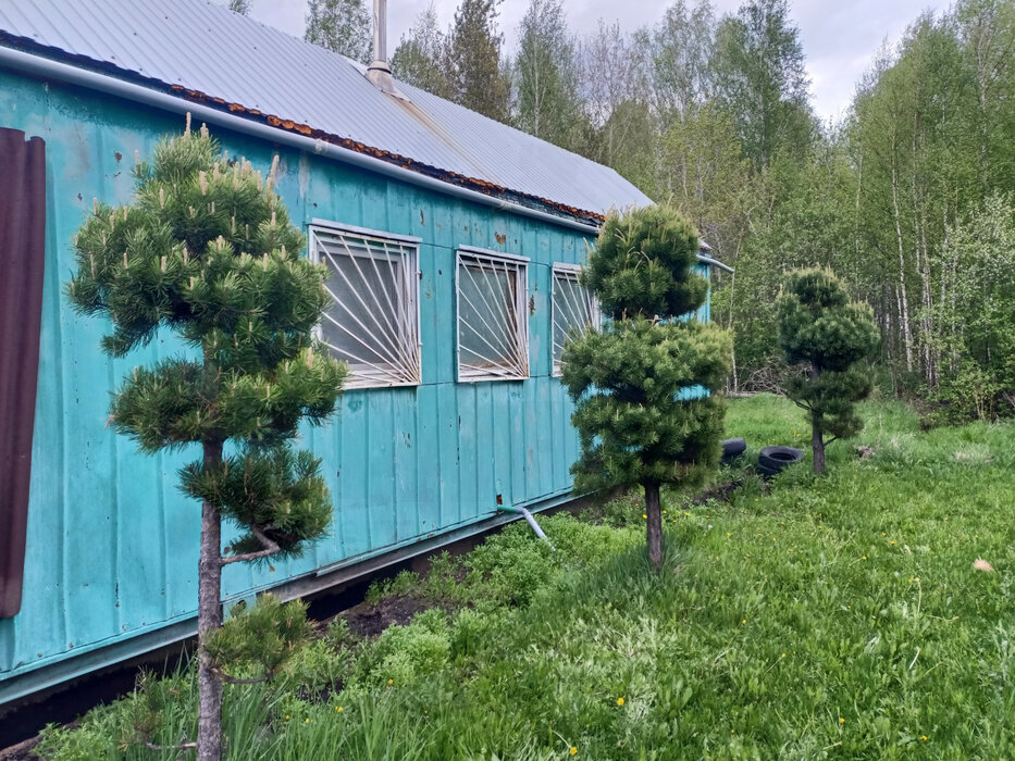 п. Красногвардейский (г.о. Артемовский), СПО №129 Красногвардейский  (городской округ Артемовский) - фото сада (7)