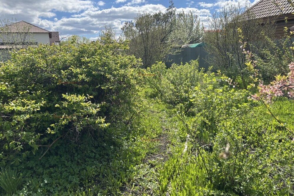 п. Большой Исток, СНТ Авиатор, уч. 266 участок (городской округ Сысертский) - фото сада (6)