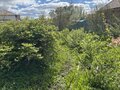 Продажа садового участка: п. Большой Исток, СНТ Авиатор, уч. 266 участок (городской округ Сысертский) - Фото 6