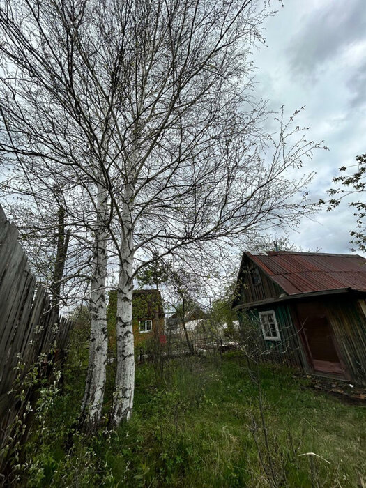 Екатеринбург, СНТ Вагонник (Старая Сортировка) - фото сада (2)