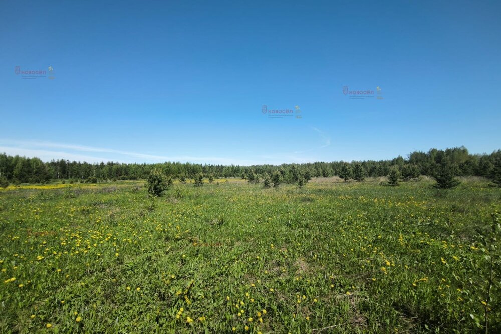 Екатеринбург, ул. дачный посёлок Кургановский (Горный щит) - фото земельного участка (4)