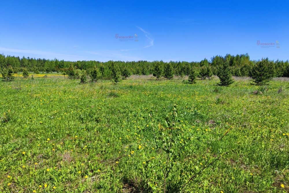 Екатеринбург, ул. дачный посёлок Кургановский (Горный щит) - фото земельного участка (5)