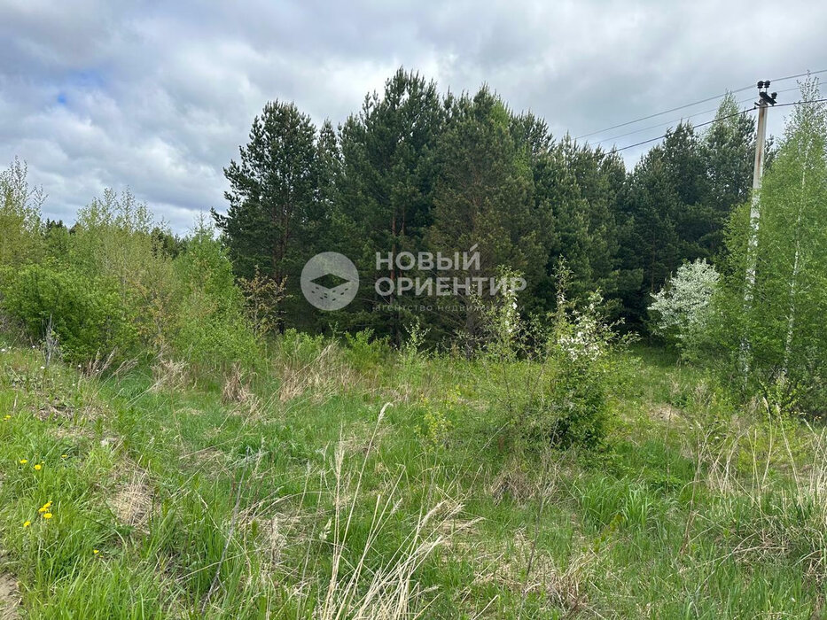 п. Гагарский, ул. 6-ая Парковая, 20 (городской округ Белоярский) - фото земельного участка (3)