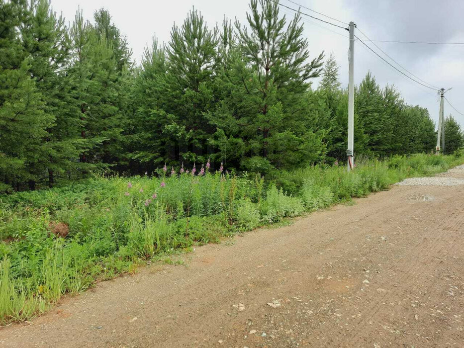 к.п. Хризолитовый, ул. Черёмуховая, 17 (городской округ Белоярский) - фото земельного участка (1)