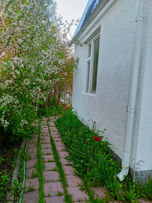 г. Березовский, тер. Коллективный сад №38, уч. 57 (городской округ Березовский) - фото сада (2)