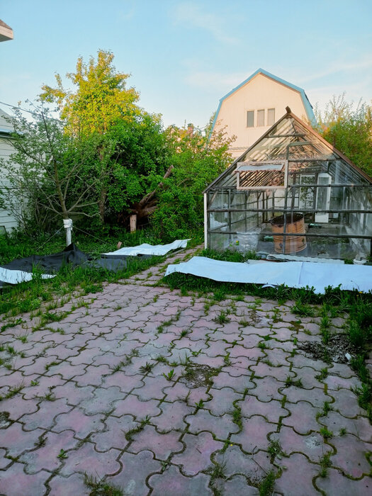 г. Березовский, тер. Коллективный сад №38, уч. 57 (городской округ Березовский) - фото сада (6)