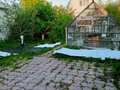 Продажа садового участка: г. Березовский, тер. Коллективный сад №38, уч. 57 (городской округ Березовский) - Фото 6