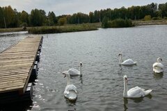 к.п. Князевское, ул. Александра Невского, 30 (городской округ Первоуральск, п. Хрустальная) - фото земельного участка