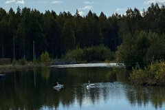 к.п. Князевское, ул. Александра Невского, 30 (городской округ Первоуральск, п. Хрустальная) - фото земельного участка