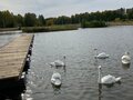 Продажа земельного участка: к.п. Князевское, ул. Александра Невского, 28 (городской округ Первоуральск, п. Хрустальная) - Фото 2