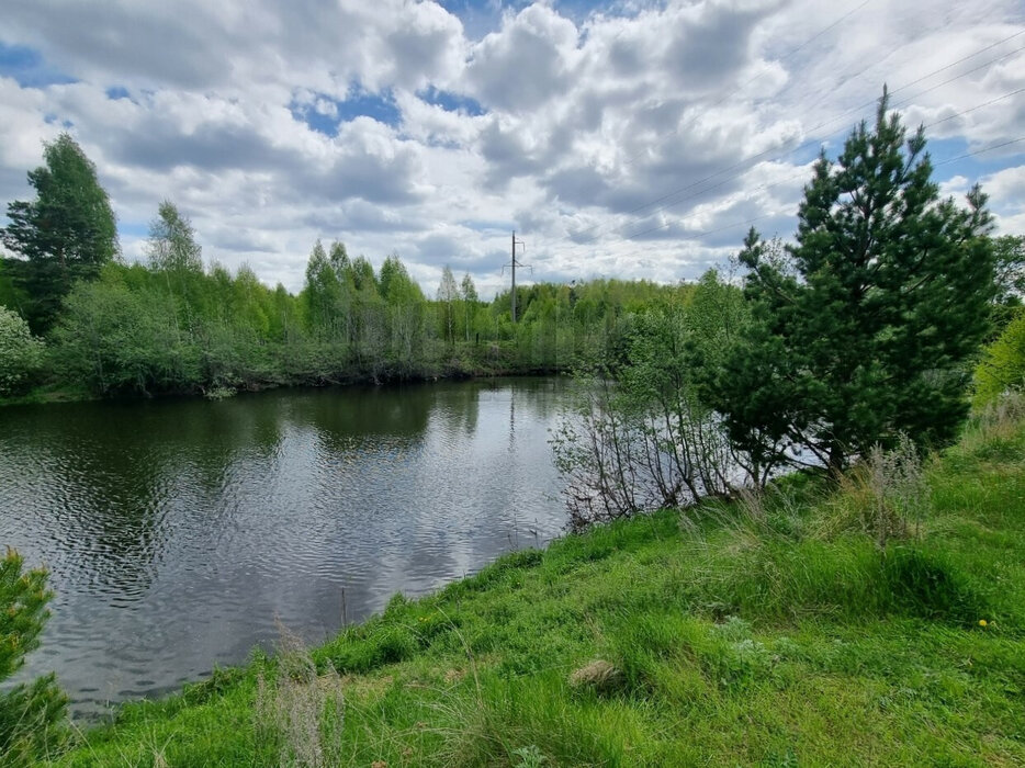г. Ревда, СТ Пионерский (городской округ Ревда) - фото сада (6)