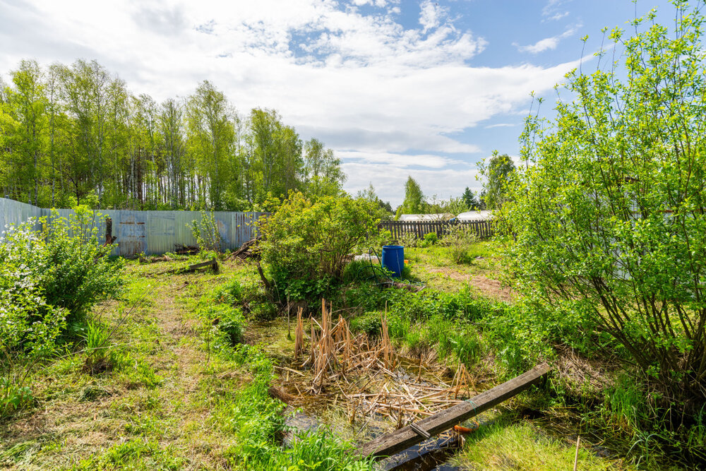 Екатеринбург, ул. Торфяная, 19А (Палкинский торфяник) - фото земельного участка (7)