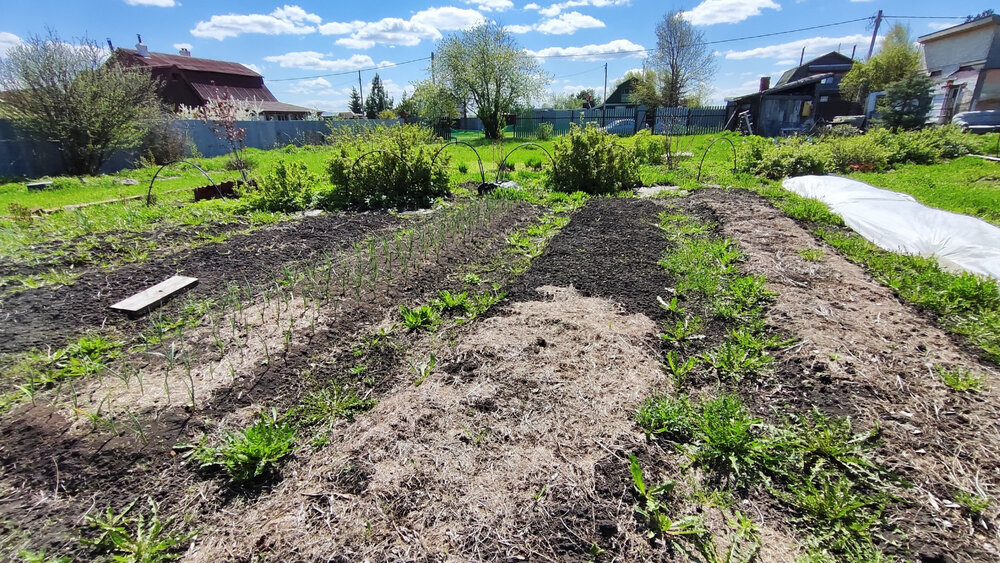 с. Бруснятское, ул. Северная, 17 (городской округ Белоярский) - фото дома (6)